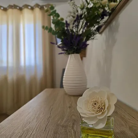 La Di Alice Vignacastrisi